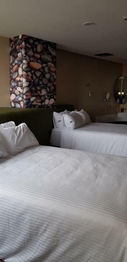 Quinto Elemento Hotel Mexikóváros Kültér fotó